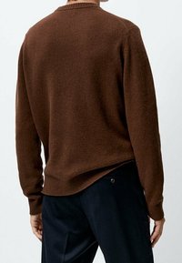 Brązowy sweter dzianinowy z okrągłym dekoltem i ściągaczem na dole. Tylna strona ma gładką fakturę, a krój jest luźny, zestawiony z ciemnymi spodniami.