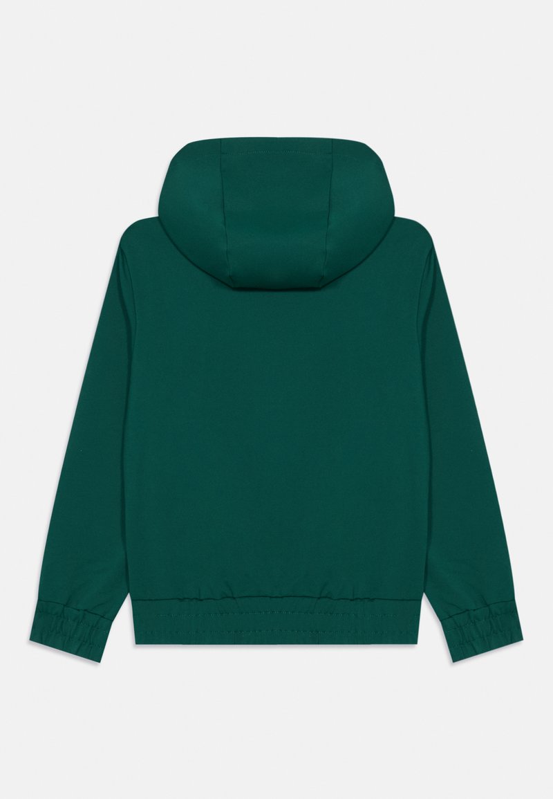 Champion Hooded Champion Sweater Zalando Argentina Winter Jacket