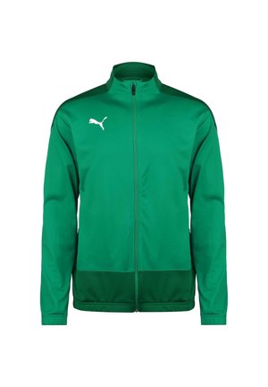 TEAMGOAL  - Training jacket - pepper green / power green
