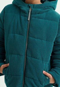 WE Fashion Vinterjacka - green