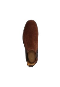 GANT AIMLEE - Platform ankle boots - dark brown