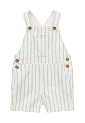 LEMON - Lappuhaalarit - green