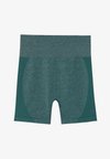 HIGH RISE SEAMLESS RIB BOOTY SHORTS WITH CONTRAST PANEL - Tights - mint
