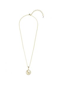 Goudkleurige ketting met een ronde hanger die een decoratief leeuwontwerp heeft, omringd door heldere rhinestones, aan een fijne ketting met een verlenger.