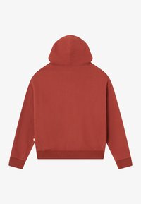 Rustrød hettegenser med lange ermer, ribbestrikkede mansjetter, ribbestrikket nederkant, og hette, vist fra baksiden mot en enkel hvit bakgrunn.