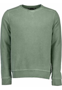 Felpa verde realizzata in materiale morbido, con colletto tondo, maniche lunghe, polsini e orlo a costine, con una texture leggermente sbiadita.