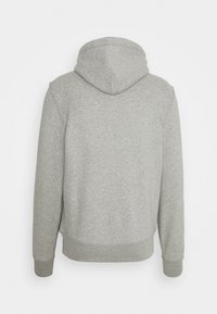 Sweat à capuche à manches longues gris clair avec une capuche, des poignets et une taille côtelés, vu de dos sur un fond blanc.