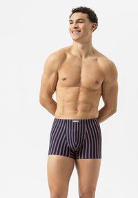 Boxer briefs in navy with vertical red and white stripes. Made of smooth fabric, featuring a fitted design and a contrasting waistband.