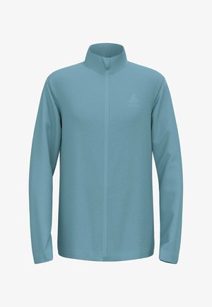 Helleblaue Fleecejacke mit Reißverschluss, hohem Kragen, langen Ärmeln und Logodetail. Glatte Textur, entworfen für Komfort und Wärme.