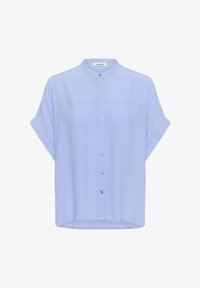 Unausgewählt, hydrangea