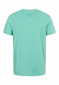 Tricou din bumbac de culoare verde mentă, cu guler rotund și mâneci scurte. Are un mic logo embosat aproape de guler. Textură netedă, croială lejeră.