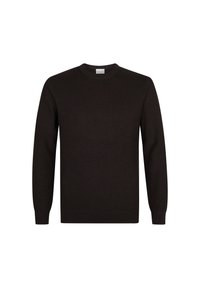 PROFUOMO THE STRUCTURE BASIC CREW - Strickpullover - dark brown