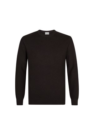 PROFUOMO THE STRUCTURE BASIC CREW - Pullover - dark brown