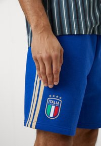 Mėlynos medvilninės šortai su auksinėmis juostelėmis ir Italijos nacionalinės futbolo komandos logotipu, kuriame yra skydas ir trys žvaigždutės.