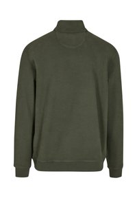 Olivgrüner Pullover mit hohem Kragen, langen Ärmeln und gerippten Bündchen. Weicher Stoff, minimalistisches Design, keine sichtbaren Grafiken oder Muster.