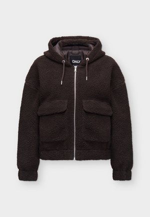 ONLY, ONLTANJA HOOD JACKET - Зимно яке - chocolate torte