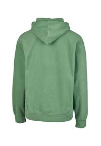 Hooded sweatshirt in soft green fabric, featuring a relaxed fit, ribbed cuffs, and hem, with a kangaroo pocket at the front.