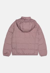EA7 Emporio Armani OUTERWEAR JACKET - Lengva striukė - toadstool