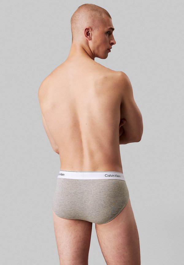 HIP ICON 3 PACK  - Briefs - shoreline gr heather lively teal2