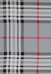 Harmaa ruudullinen kangas esittää mustia, valkoisia ja punaisia raitoja eri leveydellä, luoden tekstuurimaisen, kerroksellisen ilmeen.