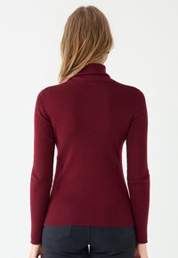 Burgundy knit turtleneck sweater with long sleeves, ribbed texture, and a fitted silhouette, shown from the back against a white background.