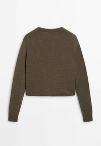 Maglione corto marrone con maniche lunghe, polsini e orlo a coste. Tessuto morbido, design semplice, senza chiusure o decorazioni visibili.