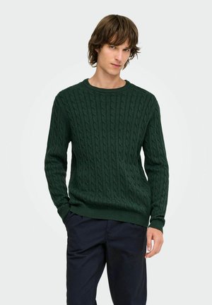 Joven con un suéter de punto trenzado verde oscuro y pantalones oscuros, de pie con las manos relajadas a los lados contra un fondo claro y liso.