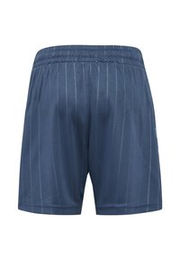Blauwe korte broek met een krijtstreepjespatroon, elastische tailleband, gladde textuur en omgezoomde randen. Achteraanzicht toont geen extra details.