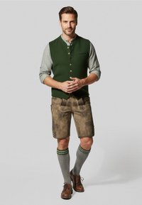 Tradiční bavorský oděv obsahující zelenou vestu, šedou vzorovanou košili, hnědé lederhosen, šedé podkolenky a hnědé boty.
