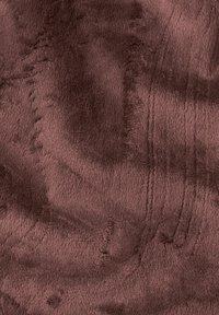 Jack Wolfskin WINDHAIN - Soft shell jacket - dark maroon