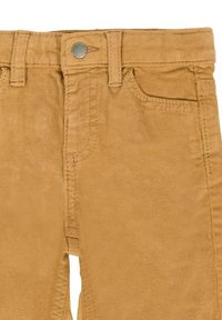 Pantaloni in corduroy marroni con una texture liscia, dotati di chiusura a bottone e tasche anteriori. Il tessuto presenta una rigatura verticale per un dettaglio aggiuntivo.