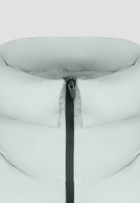 Giacca puffer grigia chiara con collo alto, chiusura lampo prominente e texture del tessuto liscia. Design minimalista senza motivi visibili.