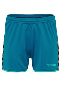 Modré sportovní šortky s elastickým pasem, černé a šedé šikmé pruhy po stranách a malé logo "hummel" na pravé přední noze.