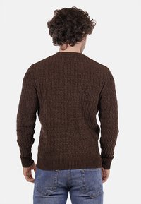 Pull in maglia marrone con un motivo texture, maniche lunghe e orlo a costine. Indossato con jeans blu, visto da dietro.