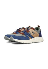 Zapatillas multicolores con parte superior de malla en gris, azul y detalles en ante marrón. Presentan una suela gruesa blanca y cordones en un color contrastante.