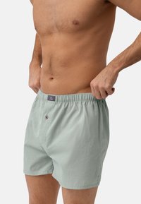 Hellgrüne gestreifte Herrenboxershorts mit elastischem Bund, Knopfverschluss vorne und einer kleinen linken Tasche. Weiche Stofftextur.