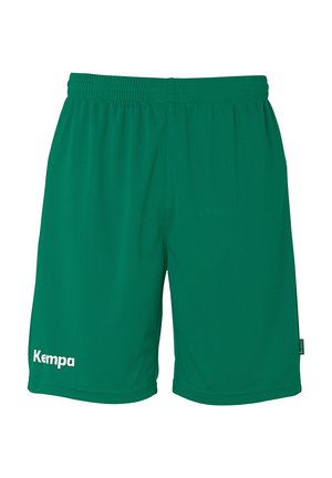 TEAM - Sports shorts - lagune