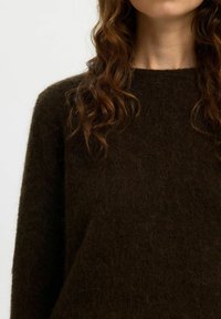 Donna con lunghi capelli castani ricci, indossa un maglione fluffy di un marrone scuro, vista dalle spalle fino alla parte bassa del viso su uno sfondo neutro.