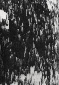 Patrón abstracto en blanco y negro que asemeja rayas verticales sobre una superficie de tela suave y peluda.