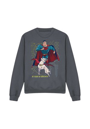 Dark gray sweatshirt with colorful graphic of Superman and a white dog wearing a red cape, text "DC League of Super-Pets" below.