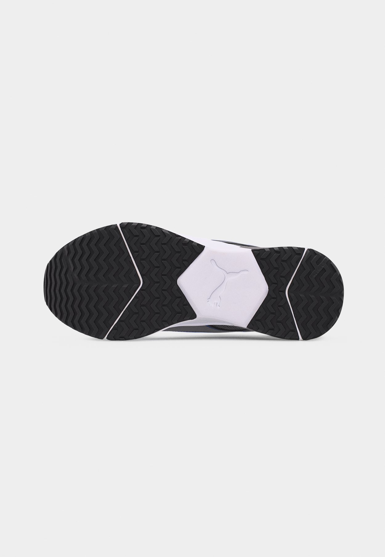 DISPERSE XT 4