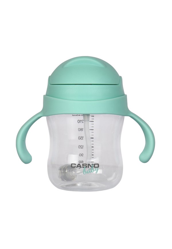 DIZZY 240 ML - Trinkflasche - miętowy