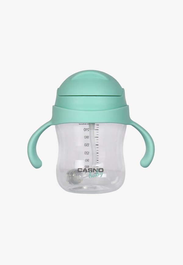 DIZZY 240 ML – Trinkflasche – miętowy