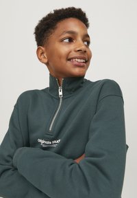 Jack & Jones Junior JORVESTERBRO QUARTER ZIP - Sweatshirt - magical forest