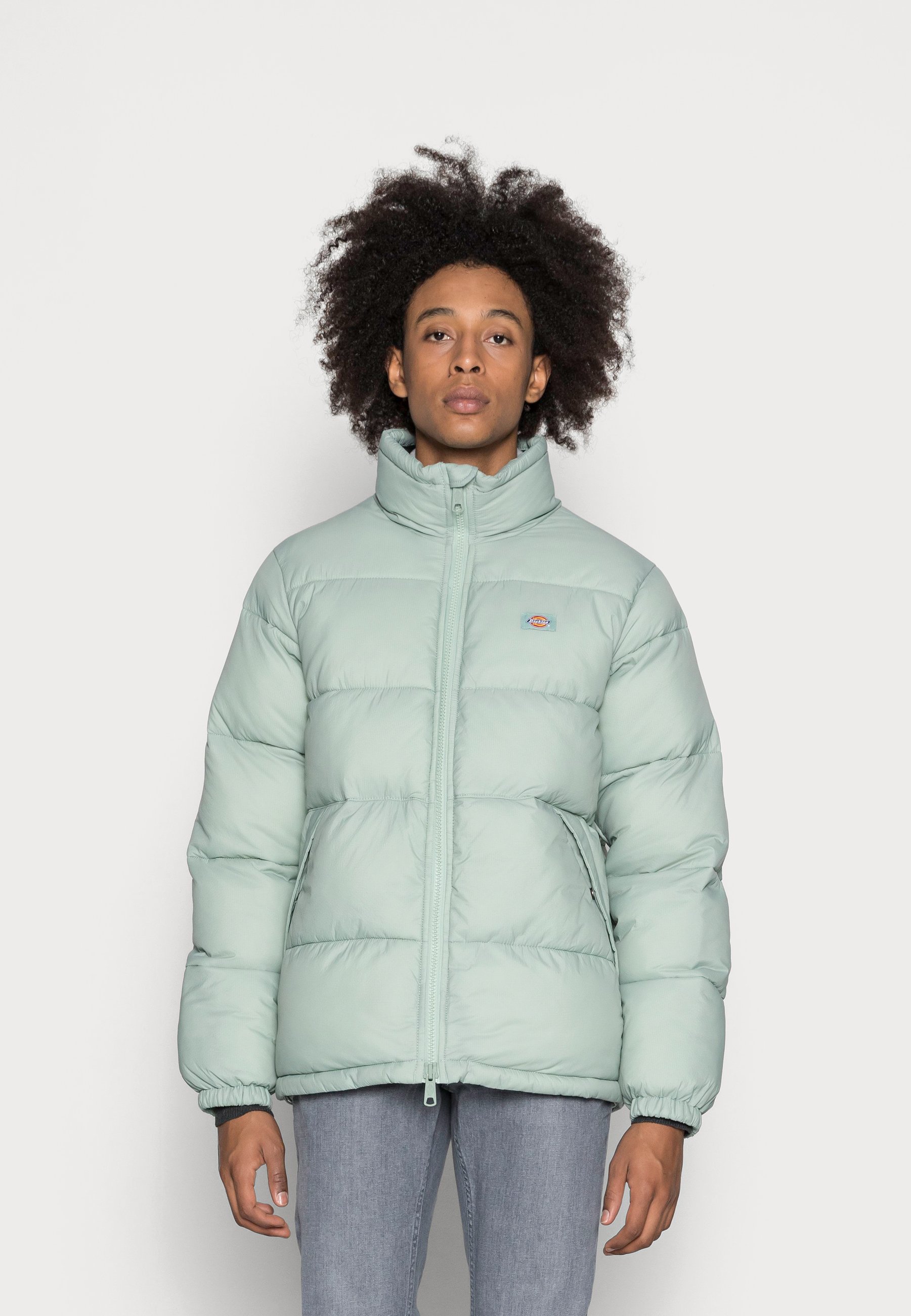 Dickies WALDENBURG PUFFER JACKET 