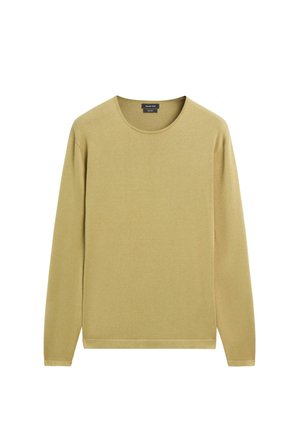 Langärmliger Pullover mit Rundhalsausschnitt in hellem Olivgrün, mit glatter Textur und ohne sichtbare Muster oder Logos.