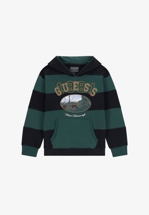 Groen-zwart gestreepte hoodie met een buidelzak, voorzien van een landschapsafbeelding en geel geborduurde merknaam. Materiaal van katoenmix.