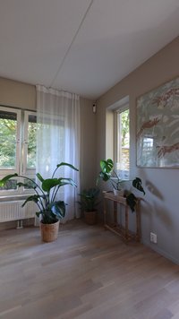 Heller Holzboden mit zwei Topfpflanzen in geflochtenen Körben. Durchsichtige weiße Vorhänge und ein gerahmter botanischer Druck an einer taupefarbenen Wand. Heller Raum.