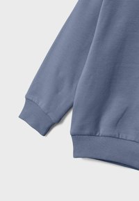 Name it REGULAR FIT - Felpa - wild wind