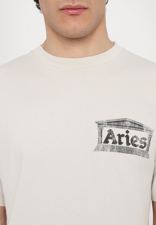 AGED ANCIENT TEMPLE TEE - Print T-shirt2